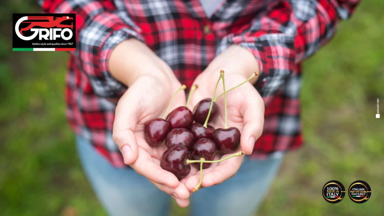 Cherries? Find out how to use them!